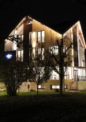 Гостиница Guesthouse Stupina  Брашов